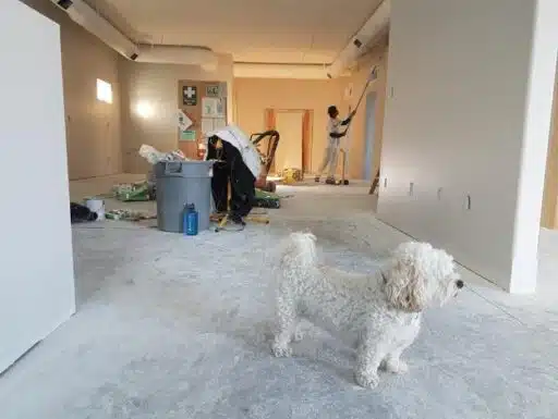 Home Improvement Planning: What to Do Before You Begin