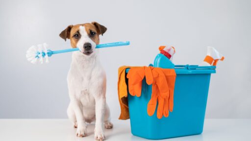 How to Keep Your Home Clean with a Dog