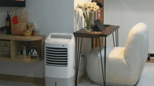 The Benefits of Using Air Purifiers in Everyday Living