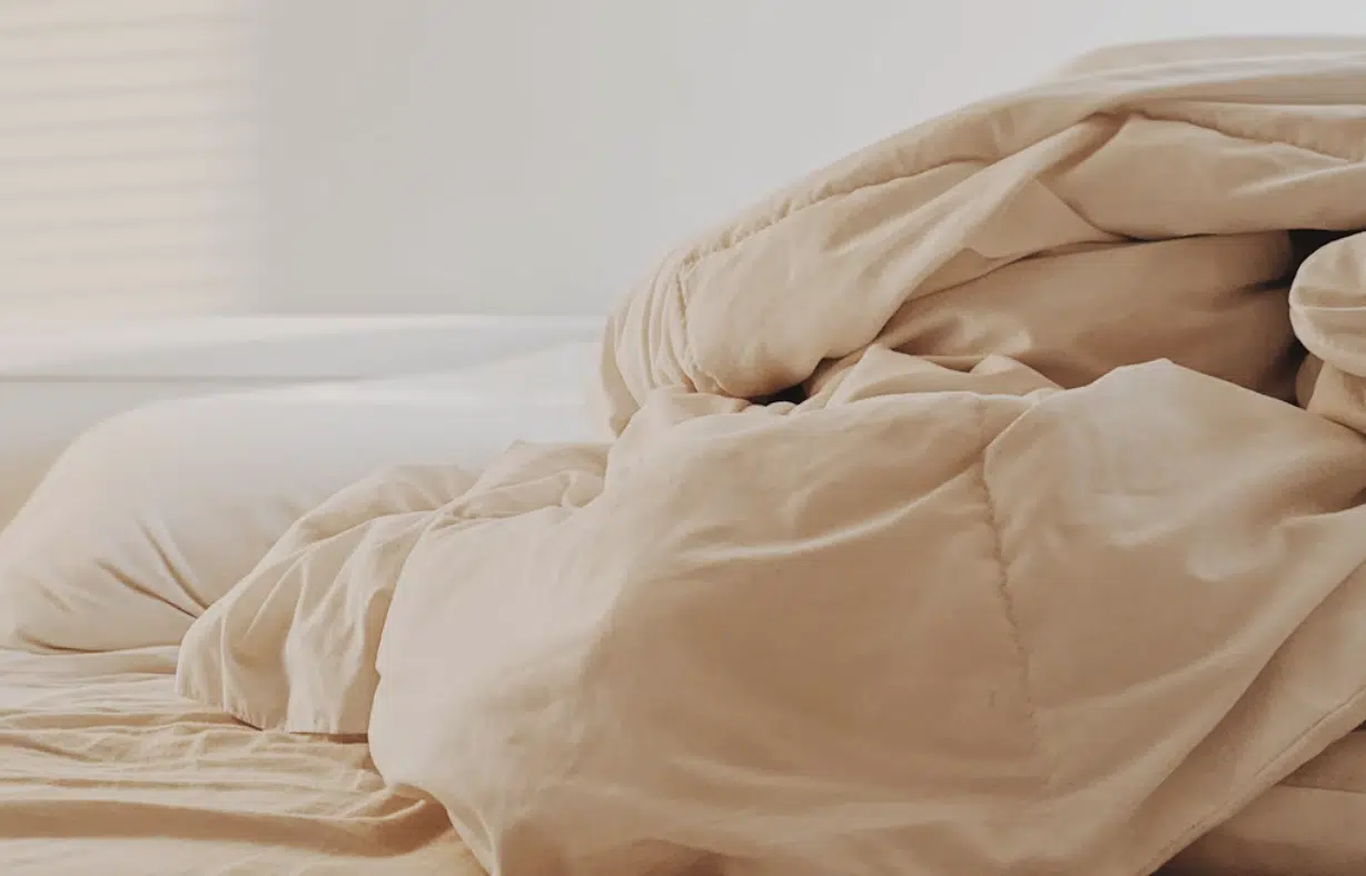 Organic Bamboo Comforter: A Perfect Blend of Softness and Breathability