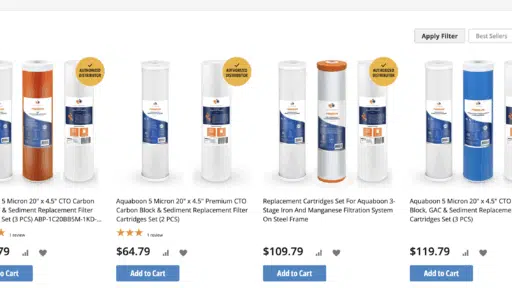 Cartridge Water Filters – Everything You Need to Know