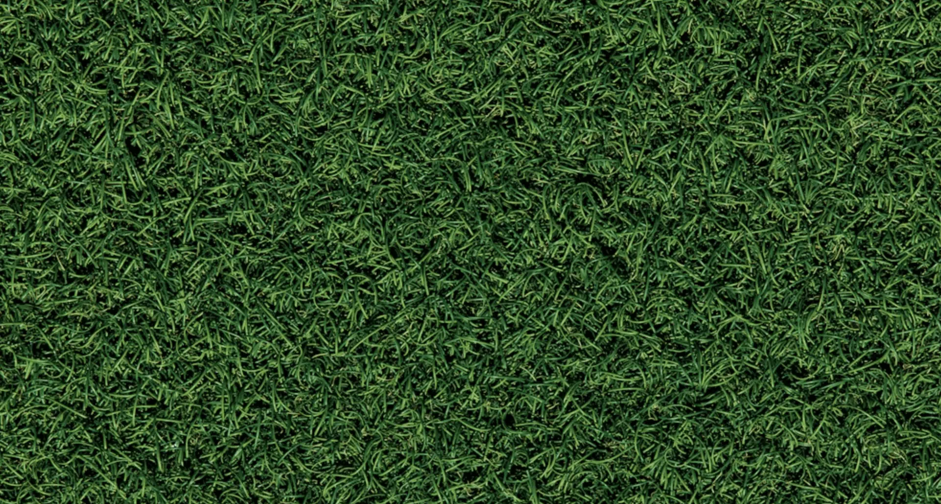 Top 5 Lawn Care Services in Cleveland: Best Local Companies for a Healthy Lawn