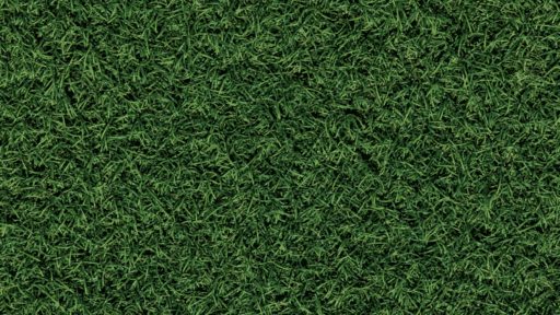 Top 5 Lawn Care Services in Cleveland: Best Local Companies for a Healthy Lawn