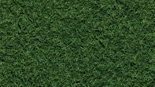 Top 5 Lawn Care Services in Cleveland: Best Local Companies for a Healthy Lawn