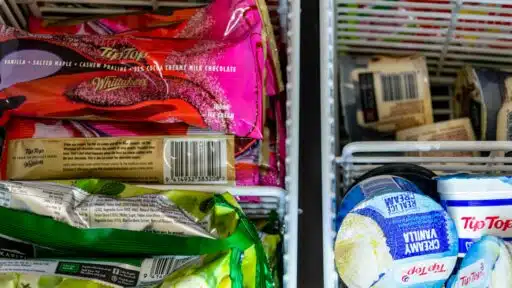 Stay Fresh Freeze Dryer Review: A Complete Guide to Performance, Quality, and Value