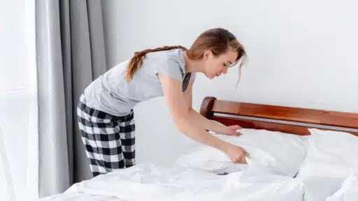 How to Get Rid of Bed Bugs with Heat Treatment