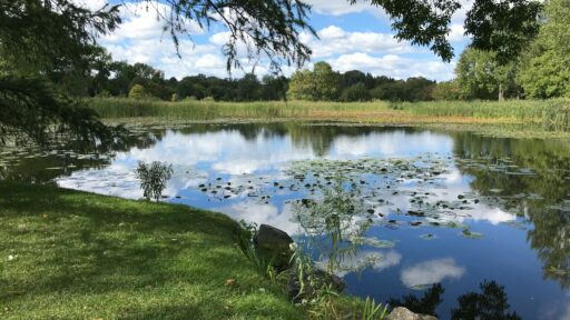 Top 10 Bes Retention Pond Maintenance Companies in North Georgia