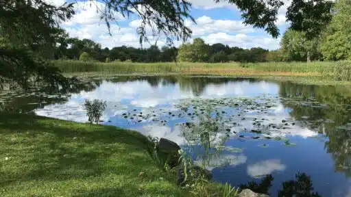 Top 10 Bes Retention Pond Maintenance Companies in North Georgia
