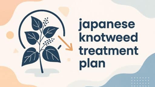 Japanese Knotweed Treatment Plan