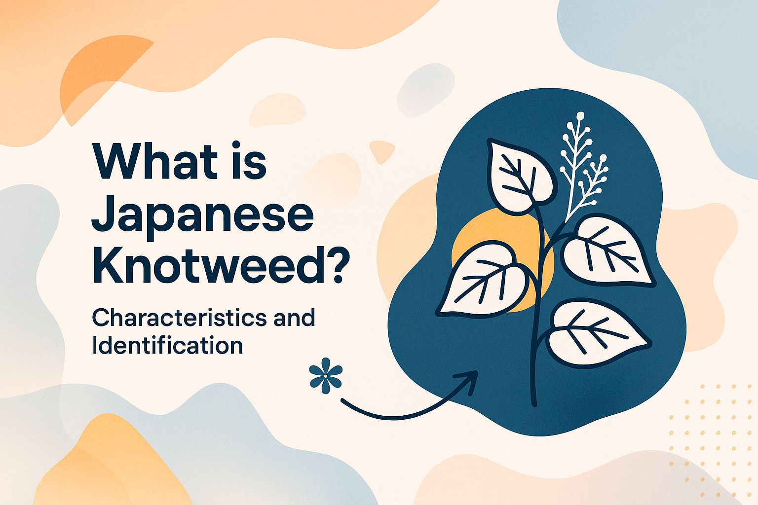 What is Japanese Knotweed?