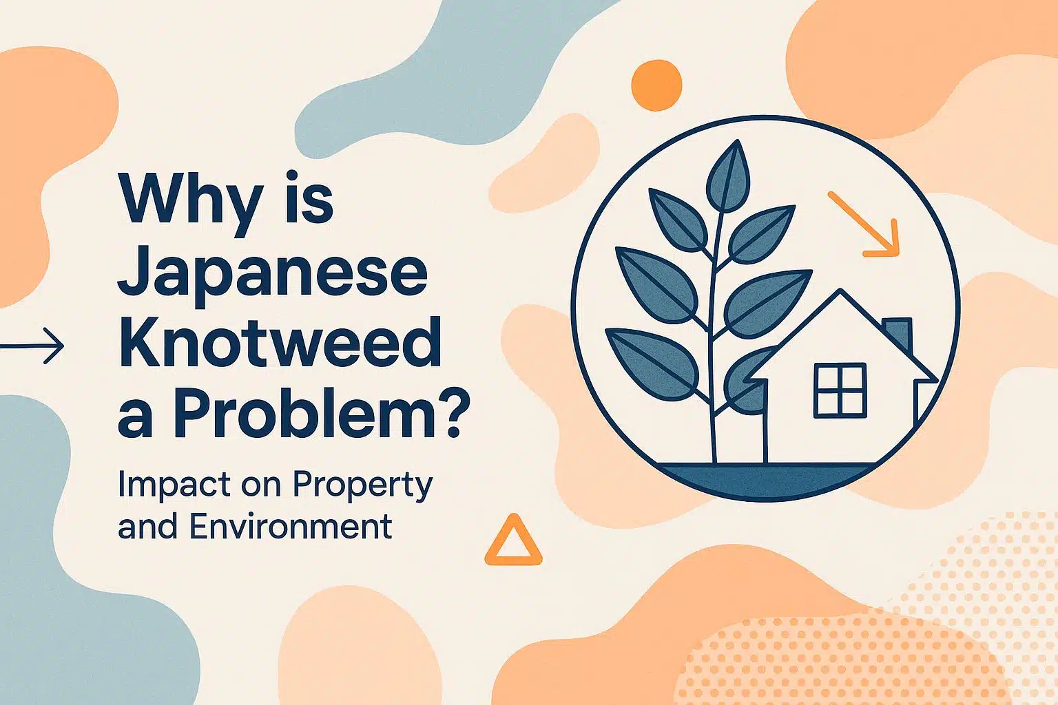 Why is Japanese Knotweed a Problem?