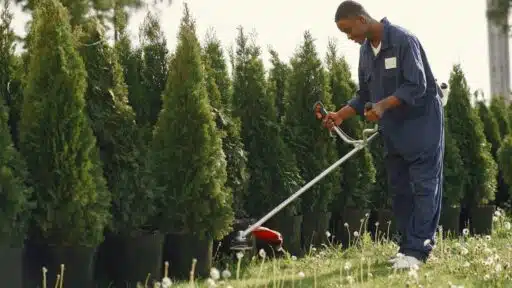 From Garden Dreams to Projects: Tools for the Modern Landscaping Entrepreneur