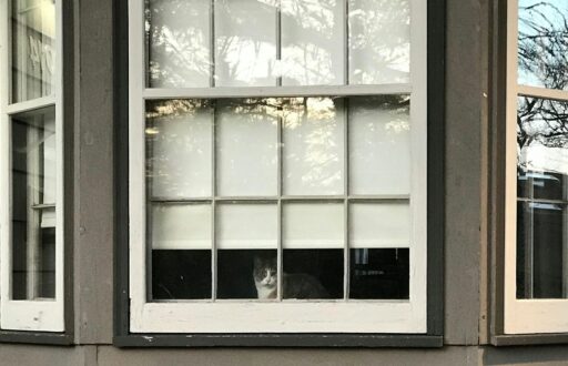 Window Installation Services Churchville PA: What to Expect