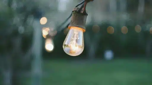 Best Outdoor Light Fixtures: Trends, Types, and Placement Tips