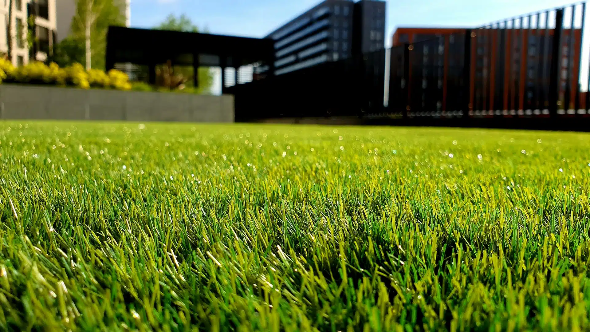 Professional Lawn Care Services: Achieve a Perfect Lawn Year-Round