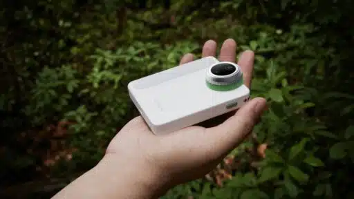 From Decor to Discovery: The Best Indoor House Plants and Their Microscopic Secrets