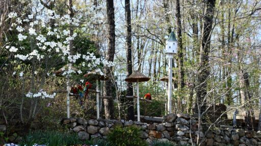 The Art of Slow Travel: Why Taking Your Time Makes Every Trip Better