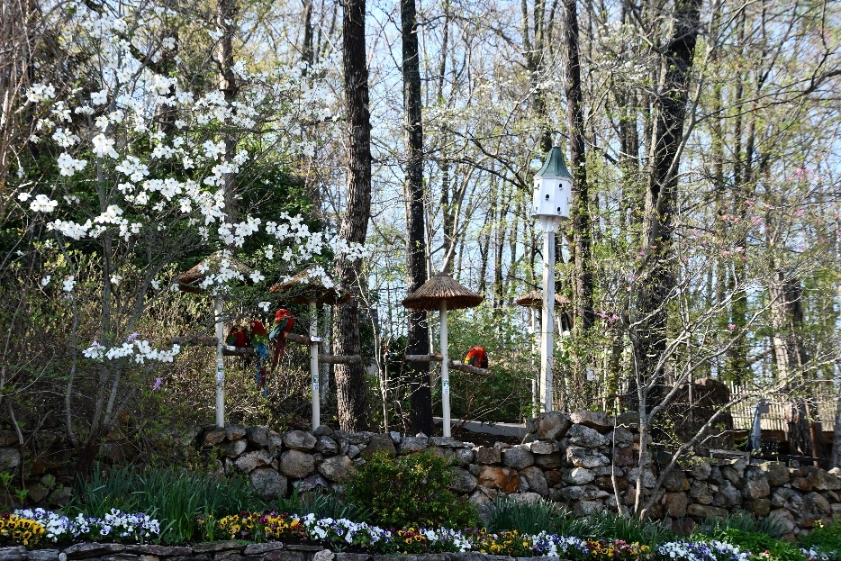 The Art of Slow Travel: Why Taking Your Time Makes Every Trip Better