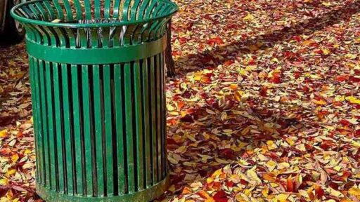 How Rubbish Removal Helps Sydney Residents Manage Green Waste