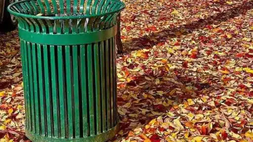 How Rubbish Removal Helps Sydney Residents Manage Green Waste