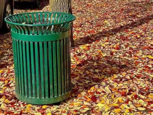 How Rubbish Removal Helps Sydney Residents Manage Green Waste