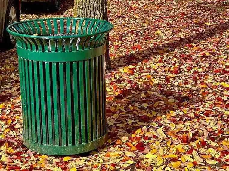 How Rubbish Removal Helps Sydney Residents Manage Green Waste