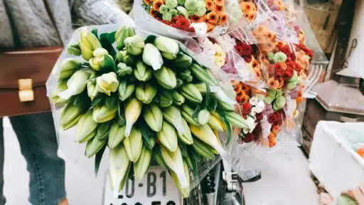 How to Choose the Perfect Flower Delivery for Every Personality