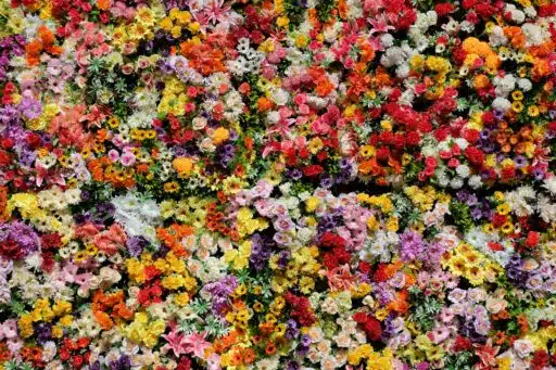From Farm to Front Door: The Logistics of Hyper-Local, Same-Day Flower Delivery Success