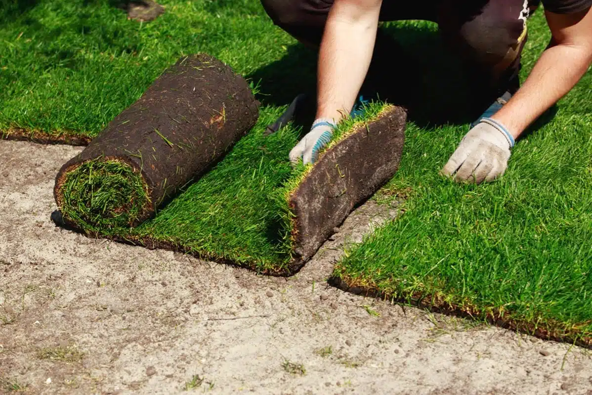 Sod Installation Guide – The 6 Main Steps to Installing Sod For Your Lawn…