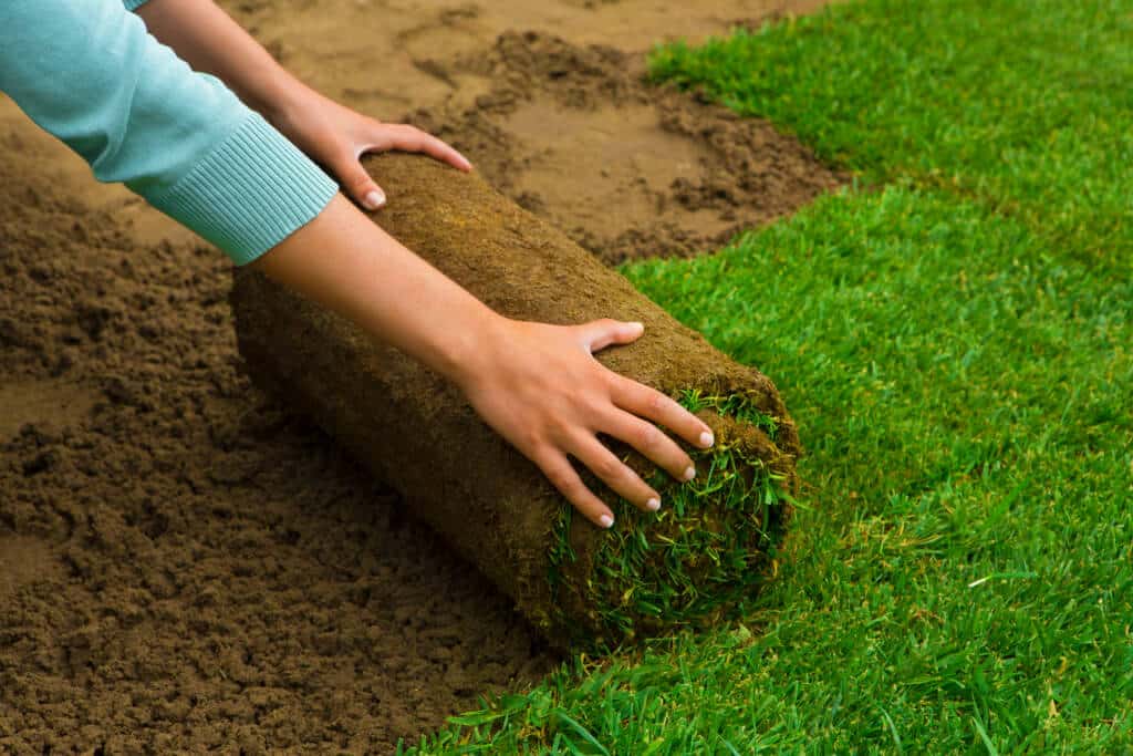 Turfgrass Installation Guide - Tvetene Turf