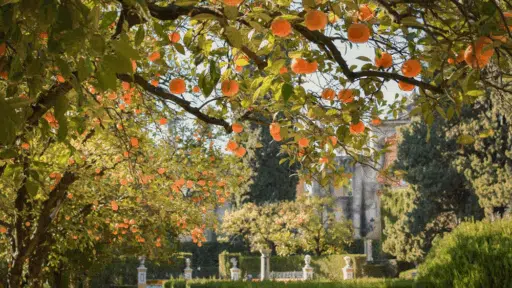 How to Design a High-End Landscape for Your Home