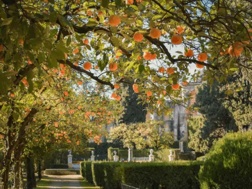 How to Design a High-End Landscape for Your Home