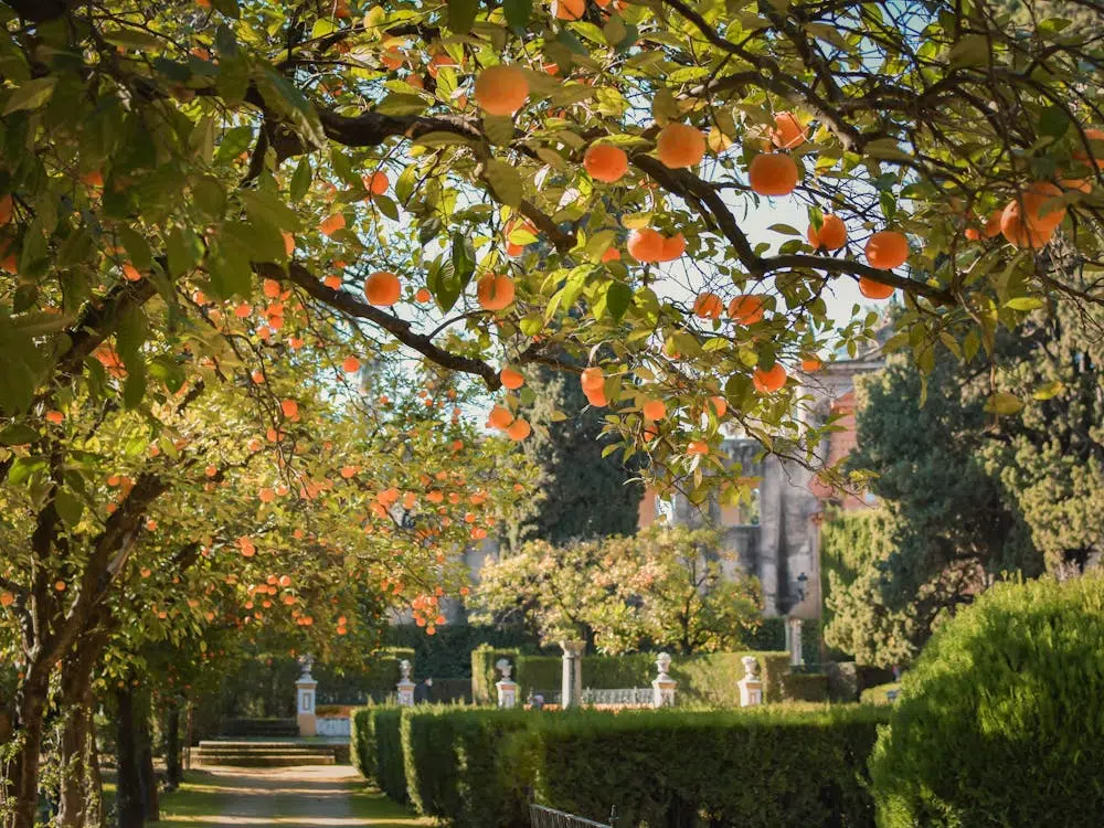 How to Design a High-End Landscape for Your Home