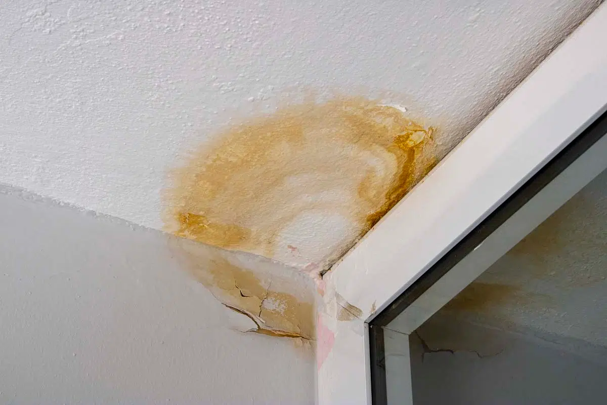Ceiling leak