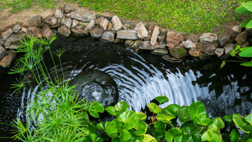 Keep Your Pond Healthy: A Guide to Air Pumps & Aeration