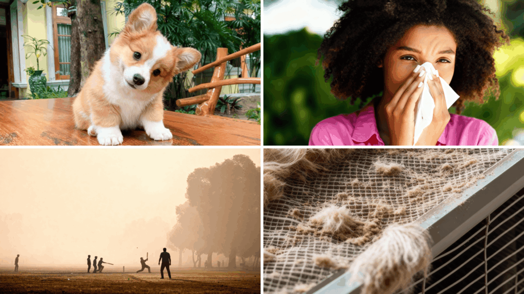 Factors That Affect Air Filter Lifespan