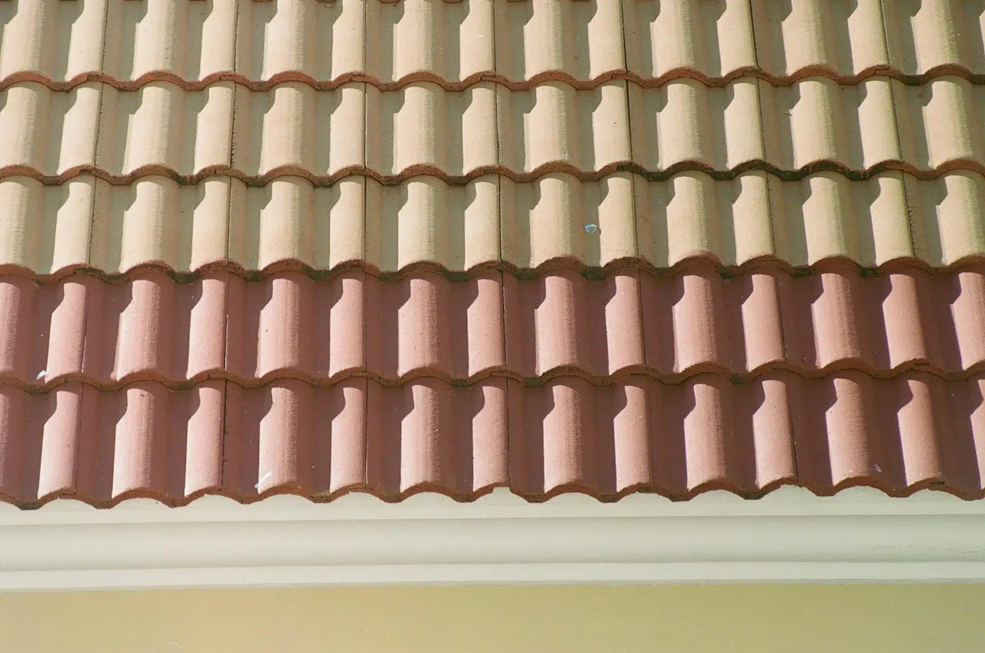 Roof Shingle