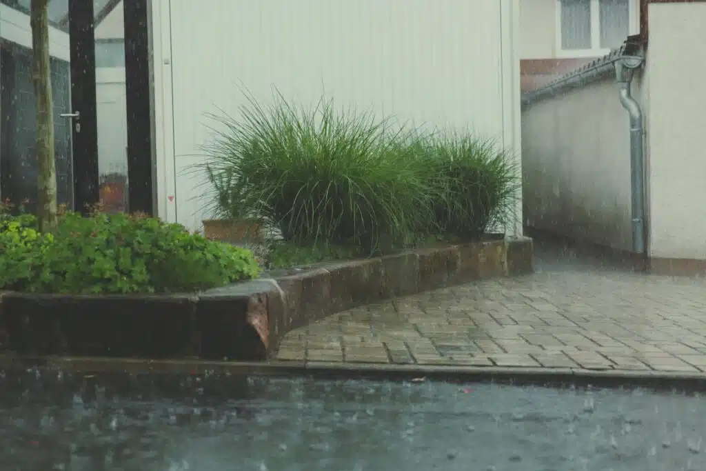 standing water in a property