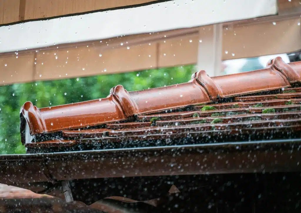 Roof and Gutter