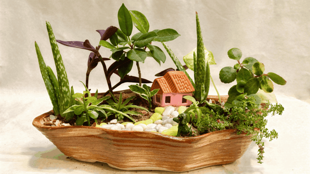 tabletop fairy garden for indoor decor