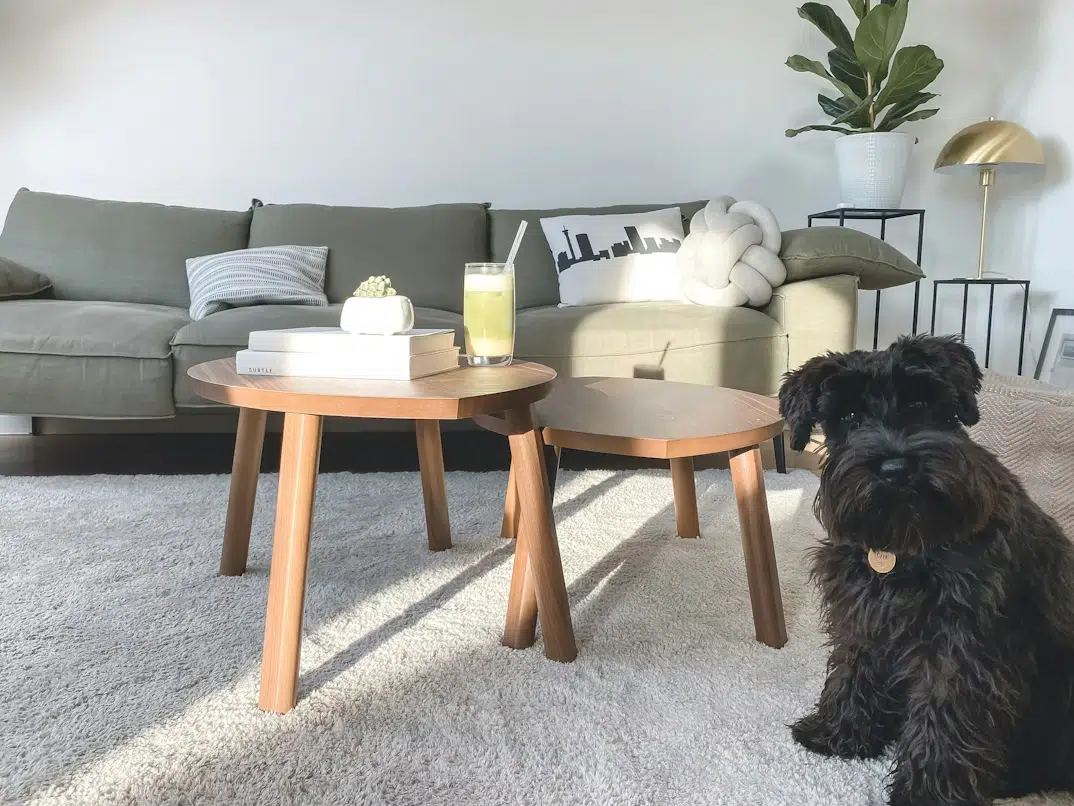 Why Personal Details Add Lasting Character To Evolving Home Decor Styles