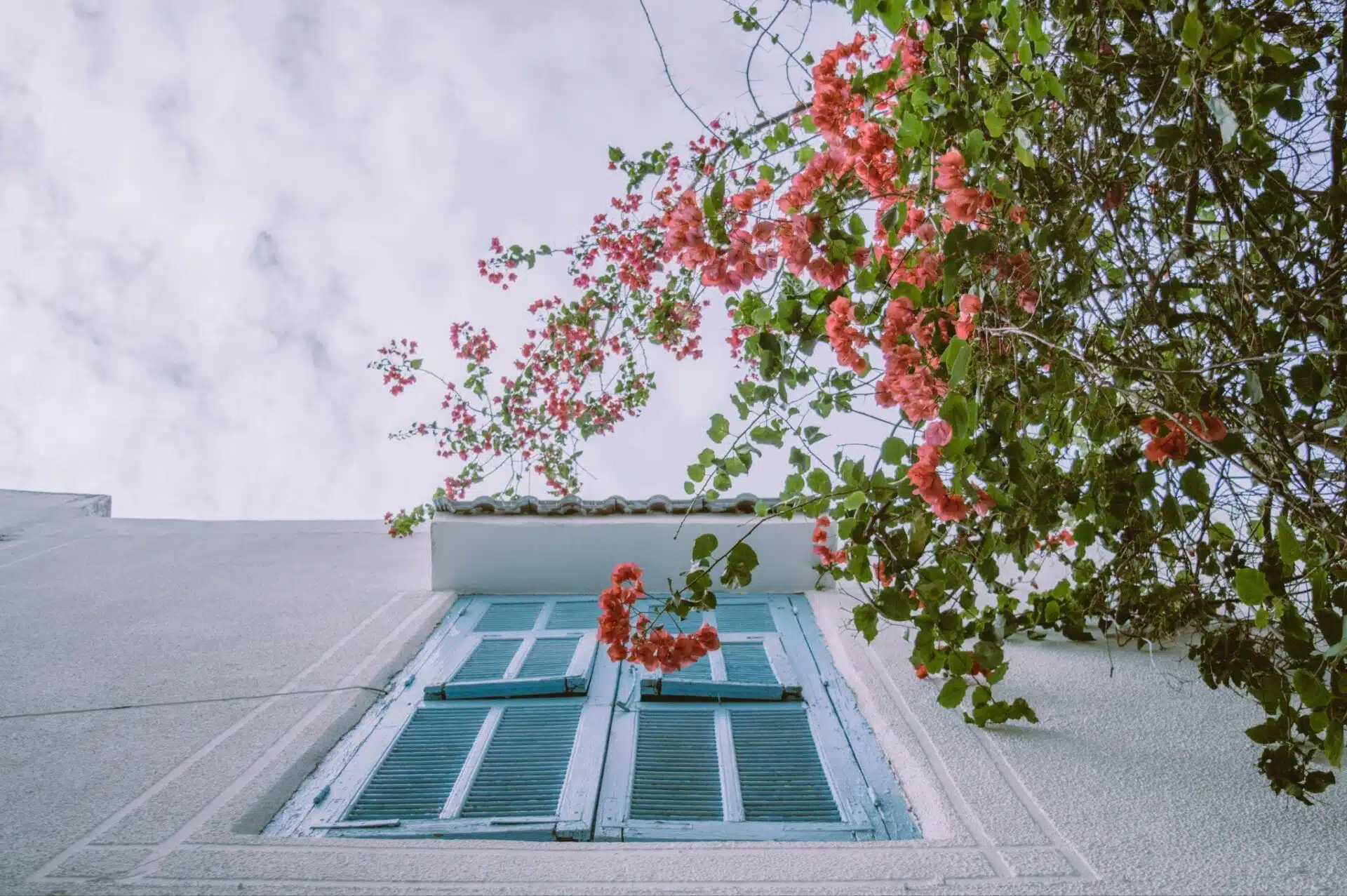 Reasons Exterior Repairs Are Essential For Both Safety And Appearance