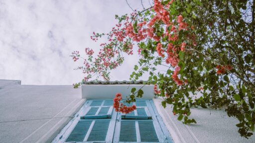 Reasons Exterior Repairs Are Essential For Both Safety And Appearance