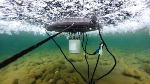 Learn how to choose the best pond aerator for your pond size and budget, compare solar and electric systems, and improve water clarity and fish health.