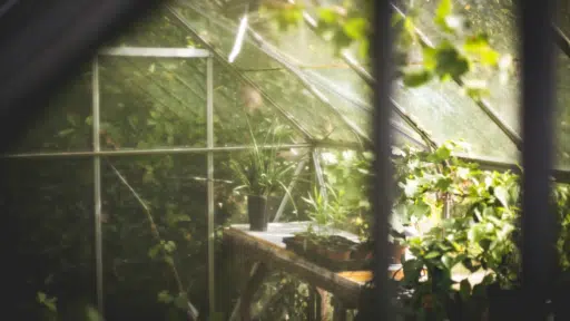 Smart Ways to Declutter Your Garden This Season