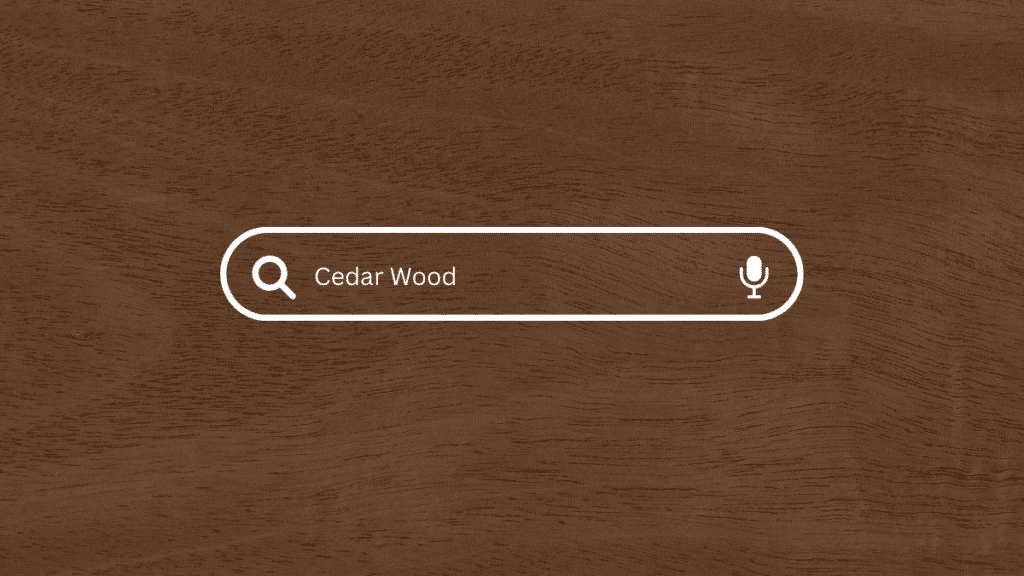 Cedar