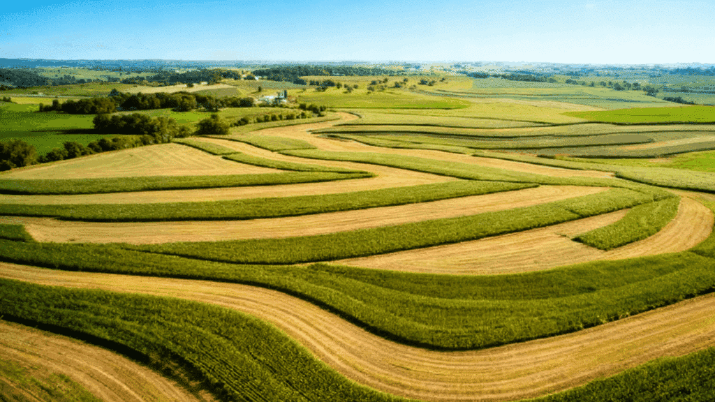 contour farming soil conservation methods