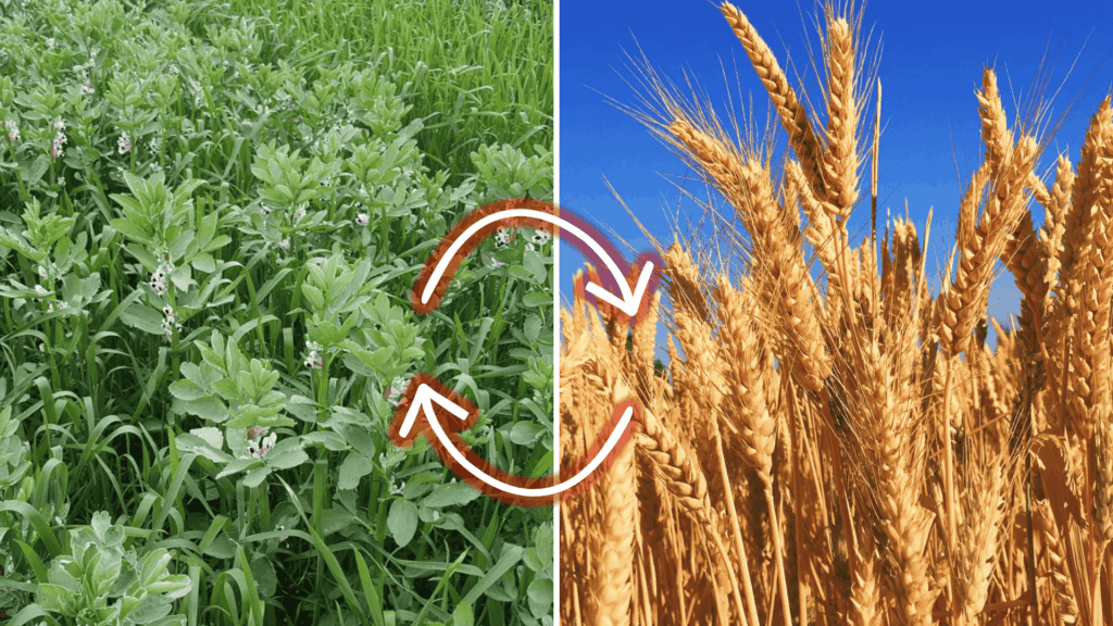 crop rotation soil conservation methods