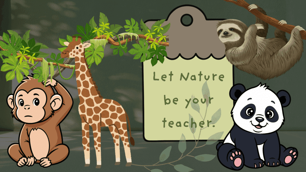 jungle theme classroom decorations