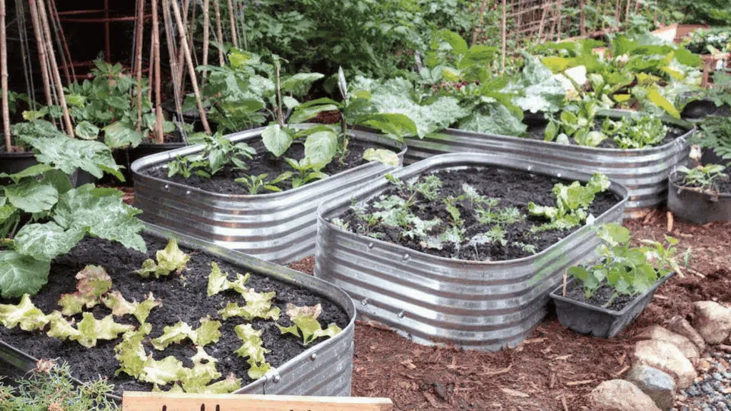 metal raised flower beds